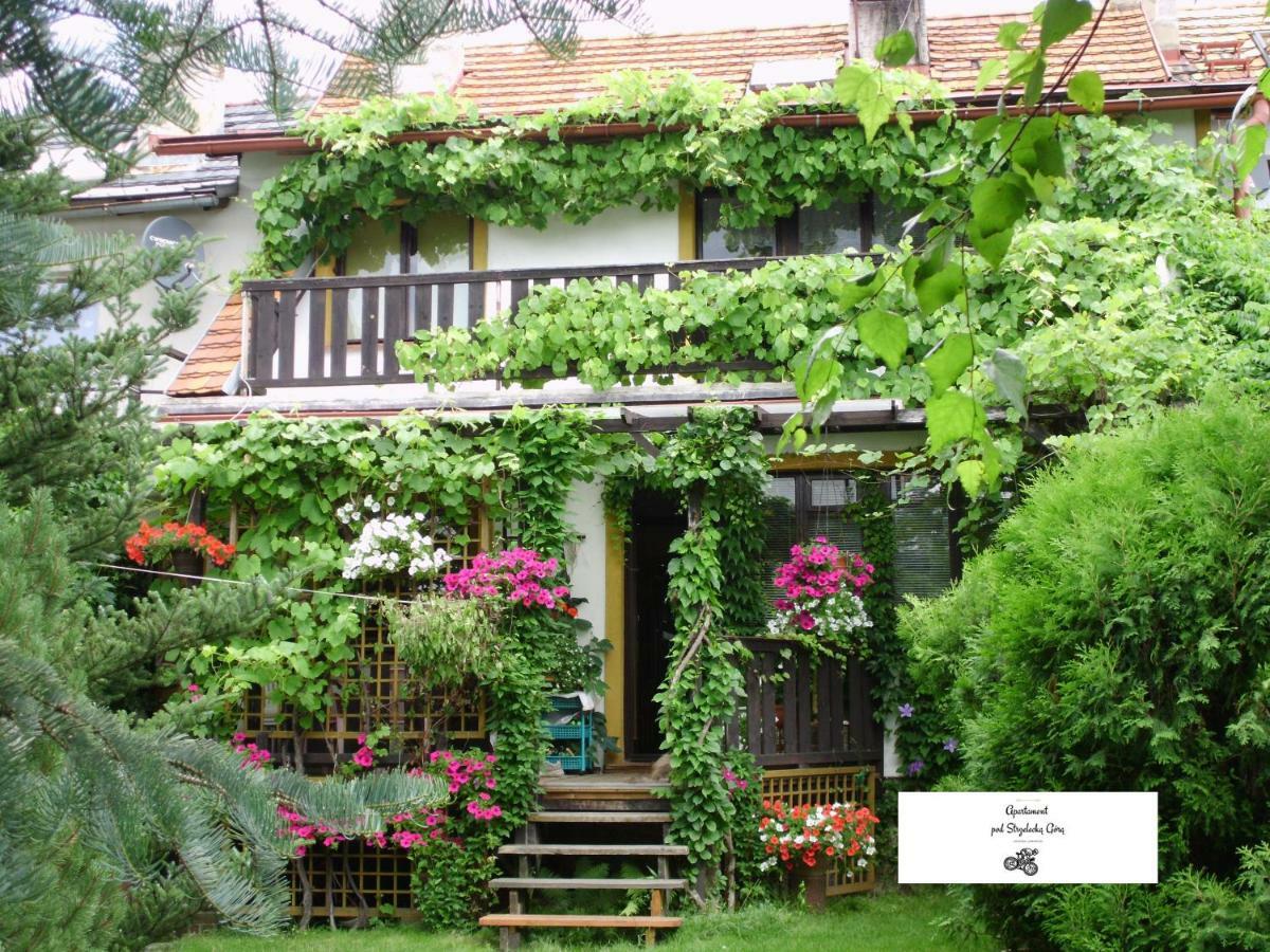 Apartament Pod Strzelecka Gora Jelenia Góra Exterior foto